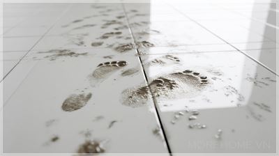 Dấu Chân Bùn Trên Sàn Bếp: Câu Chuyện Của Cuộc Sống Thật...